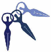 WiseWomen logo